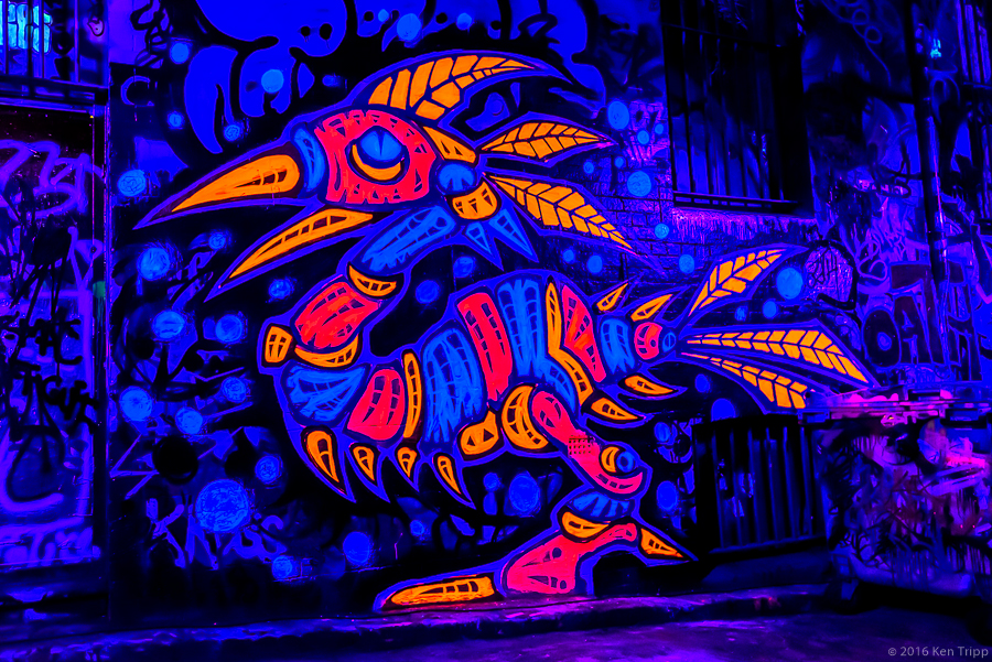 Fluro paint and black light in Rutledge Lane